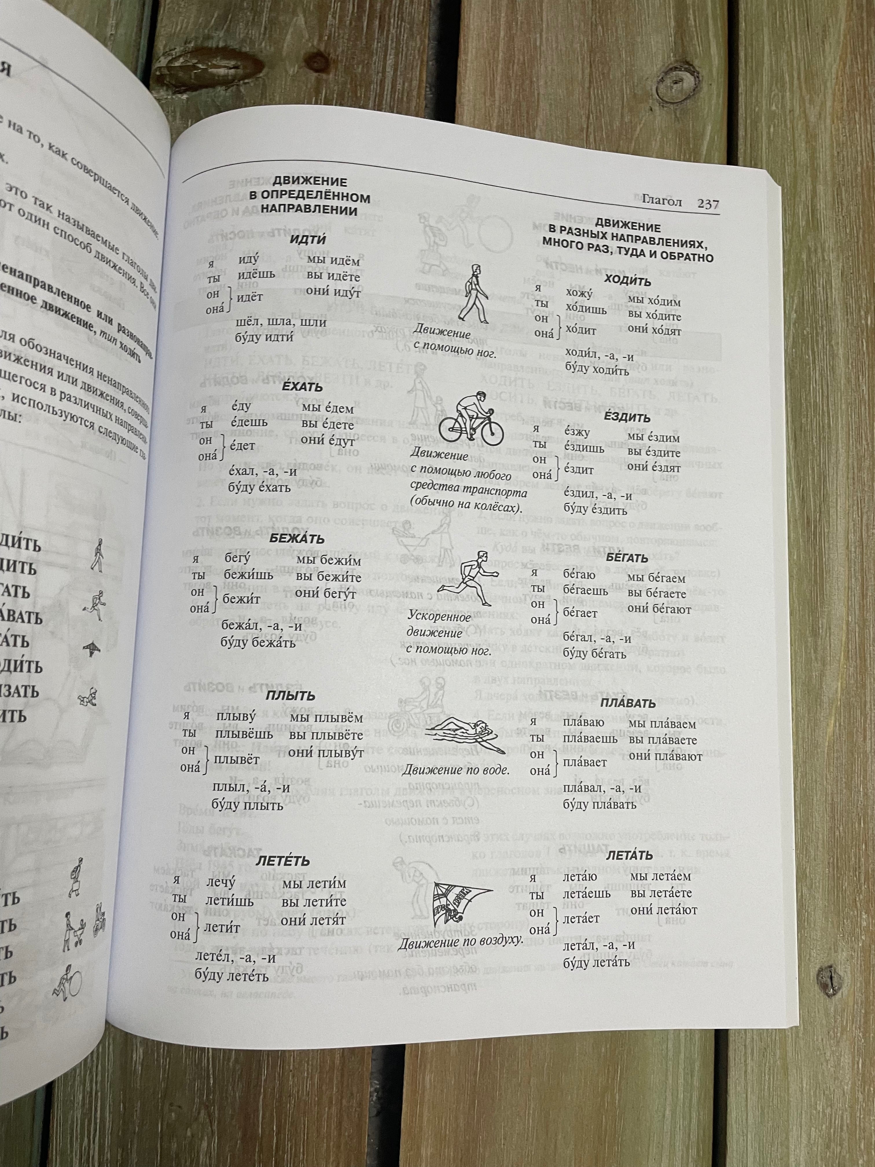 Грамматика русского языка в иллюстрациях К. И. Пехливанова, М. Н. Лебедева