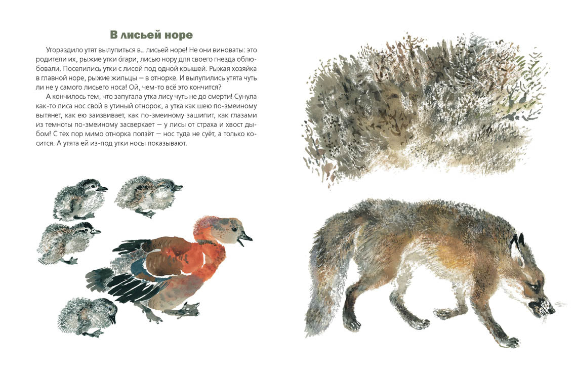 С днём рождения! Сладков Николай