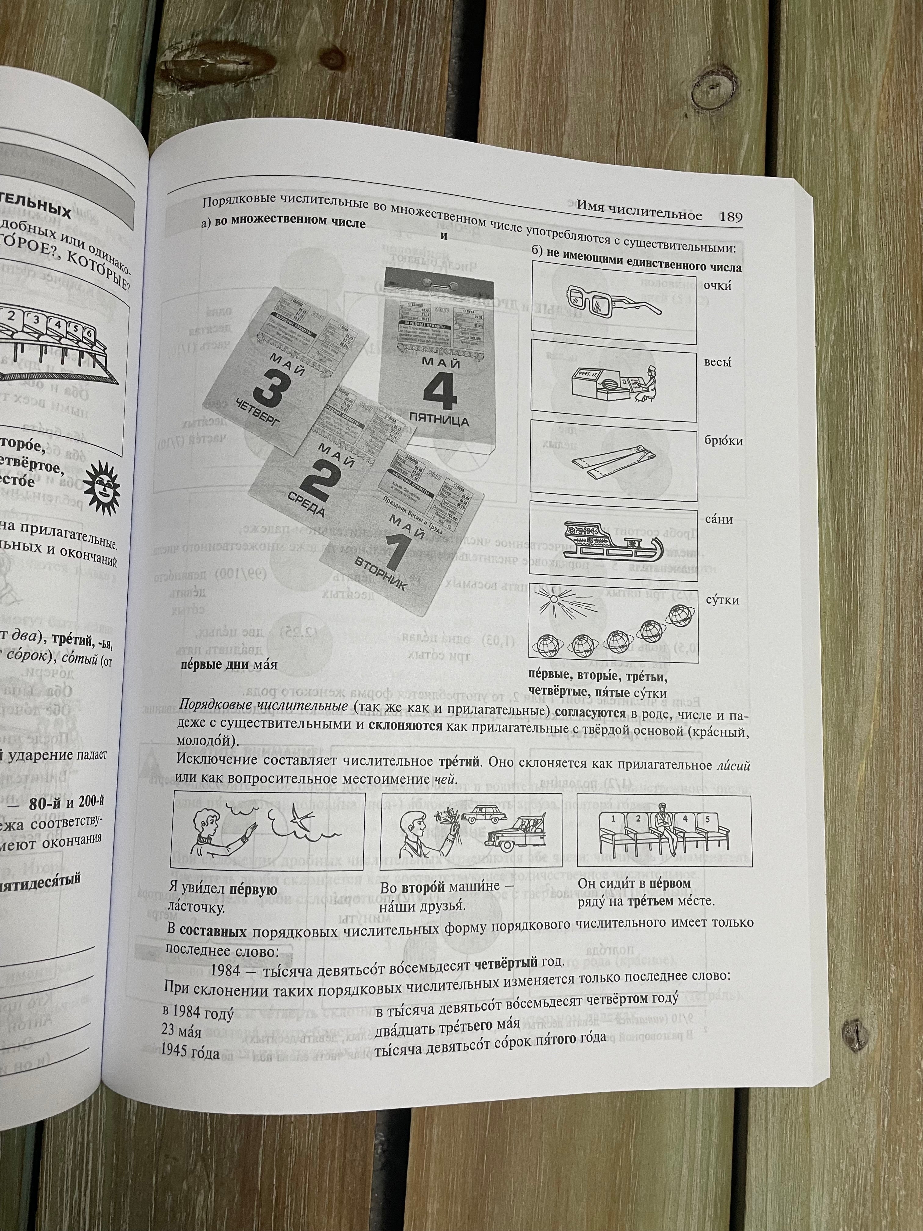 Грамматика русского языка в иллюстрациях К. И. Пехливанова, М. Н. Лебедева