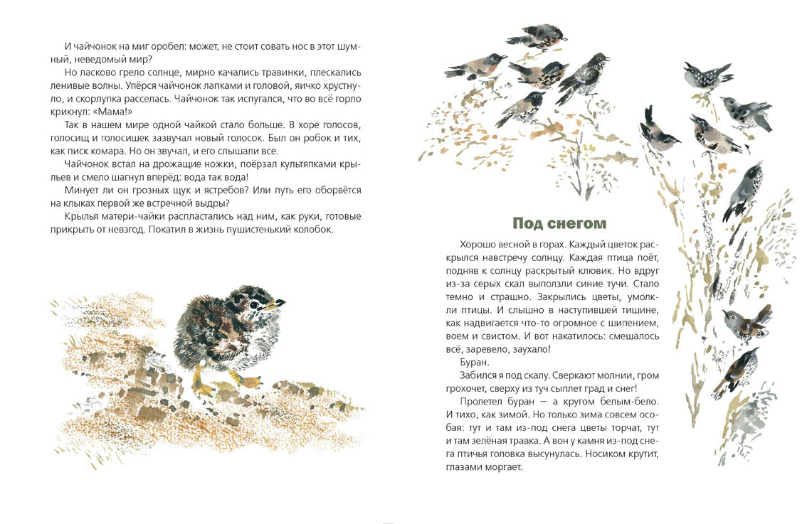 С днём рождения! Сладков Николай