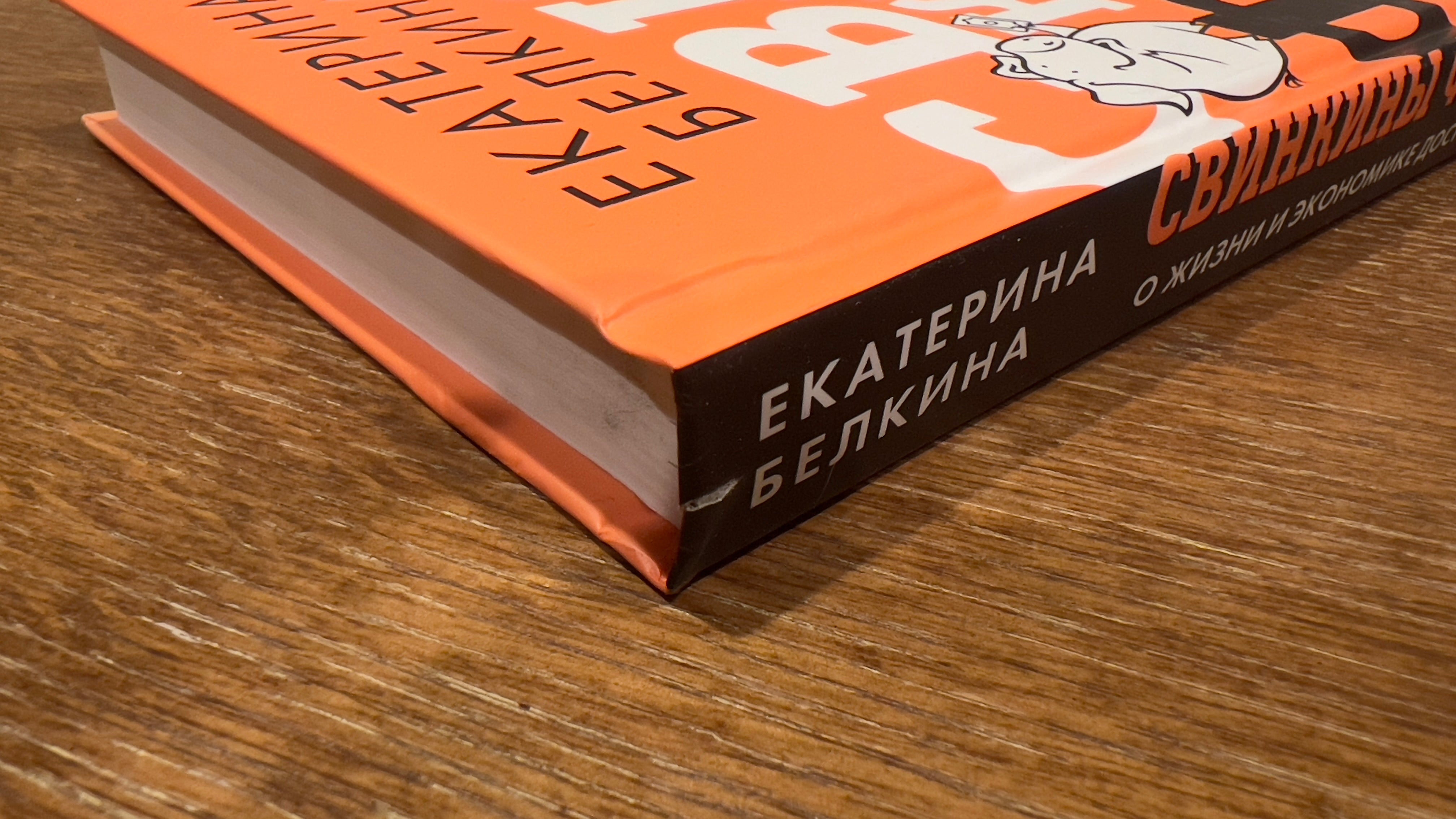 УЦЕНКА. Свинкины финансы: о жизни и экономике доступно и просто. Белкина Е. С.