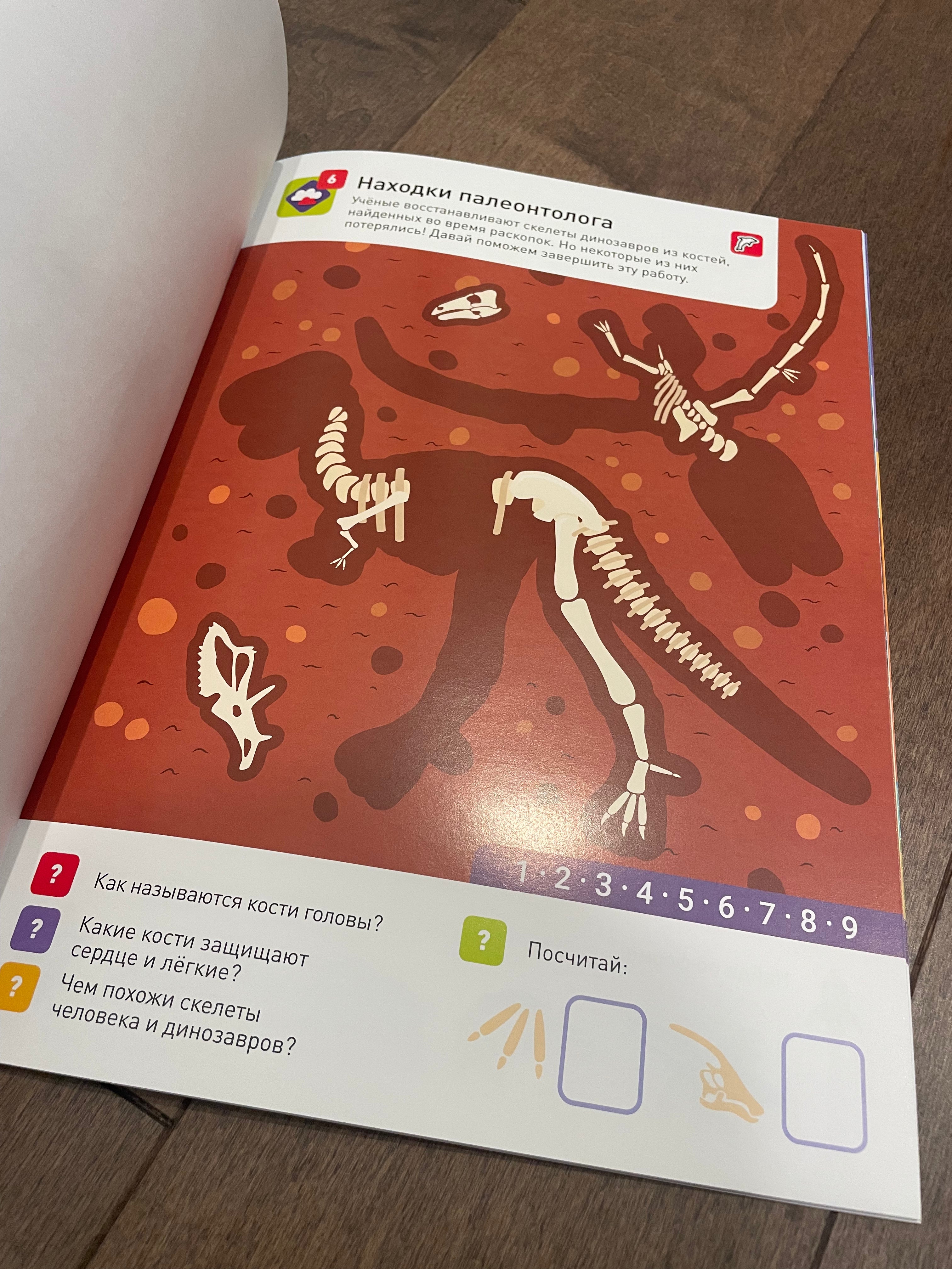 100 многоразовых наклеек «Динозавры»