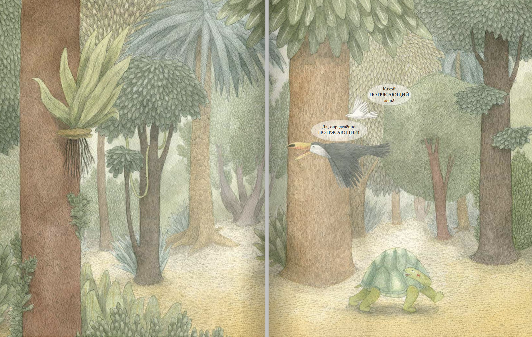 Потрясающе! Софи Гилмор