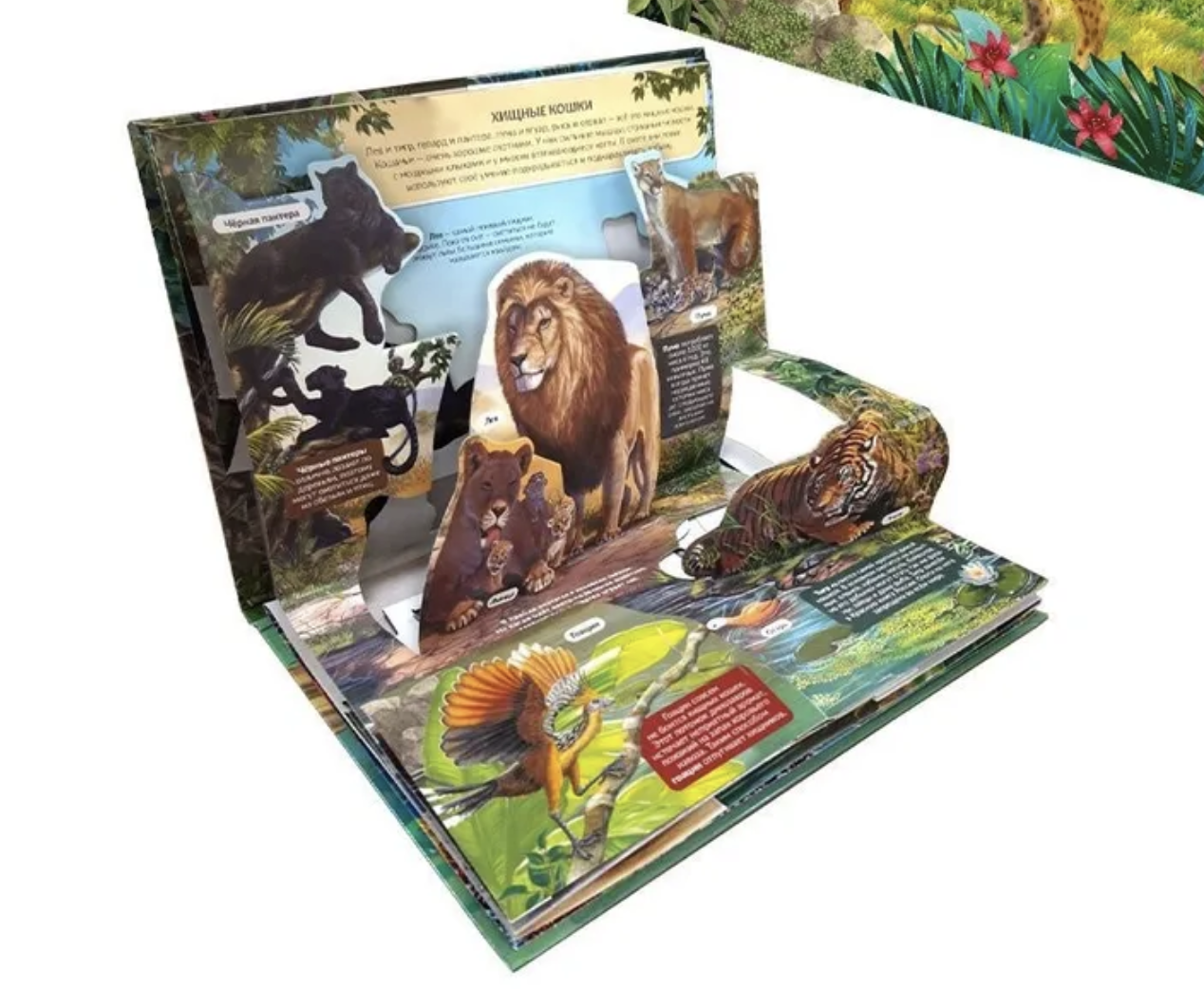 Хищники. Энциклопедия. Pop up. Книжка-панорамка