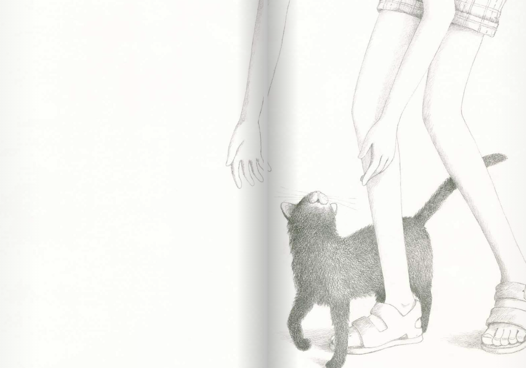 Моя большая. Сибий Делакруа