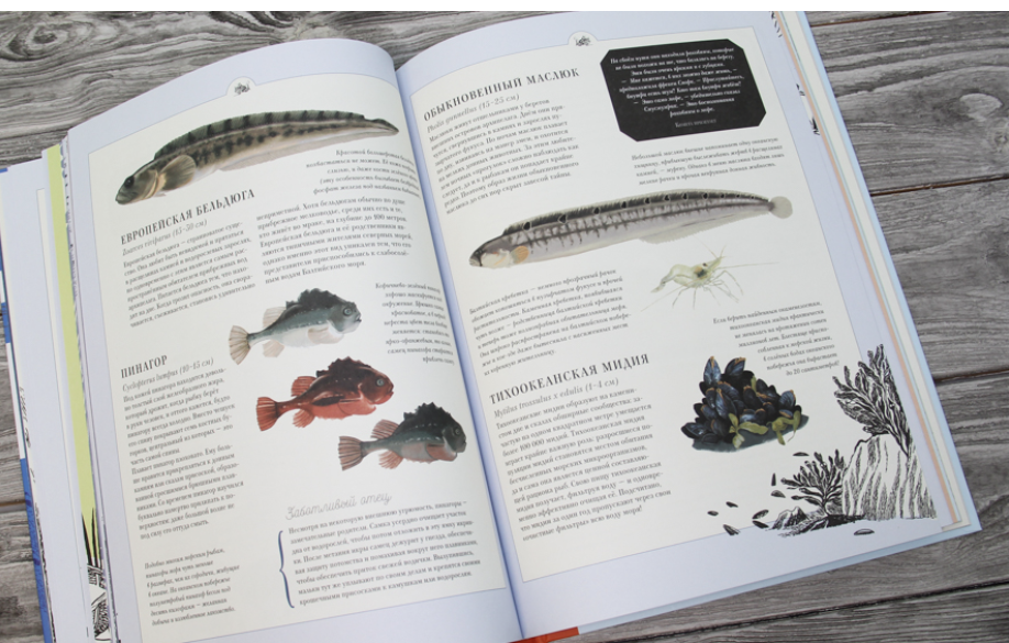 Муми-тролли на рыбалке. По мотивам книг Туве Янссон. Муми-тролли