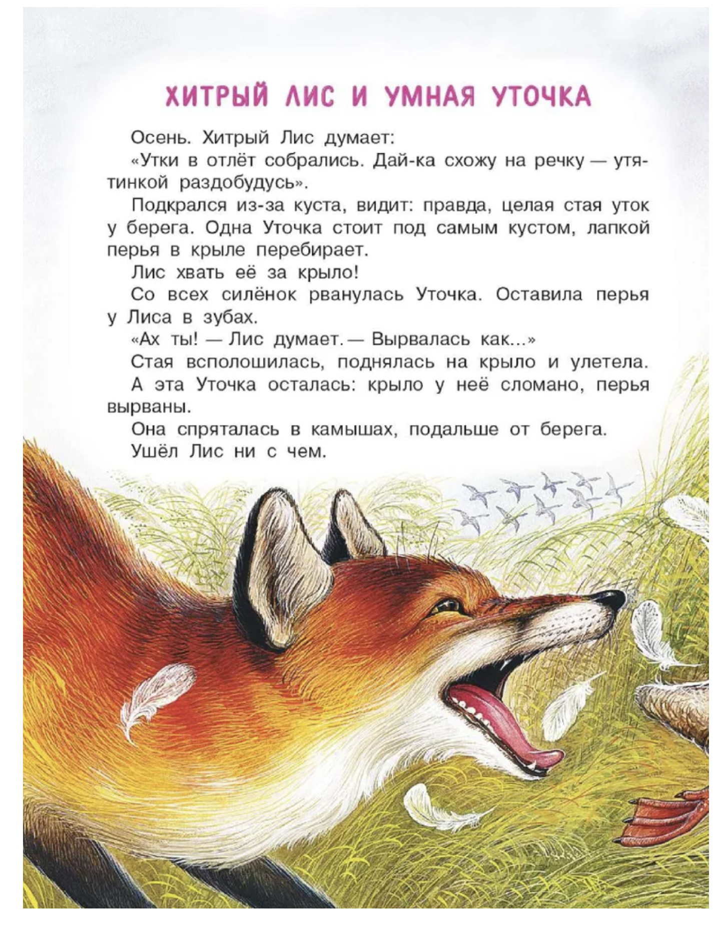 Чей нос лучше? Сказки. Бианки Виталий Валентинович