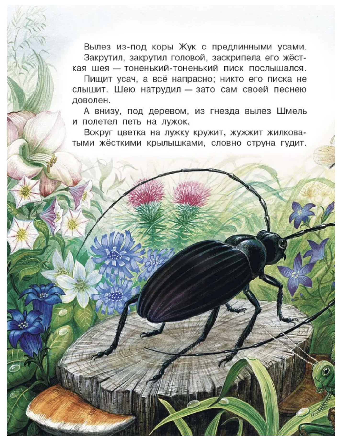 Чей нос лучше? Сказки. Бианки Виталий Валентинович