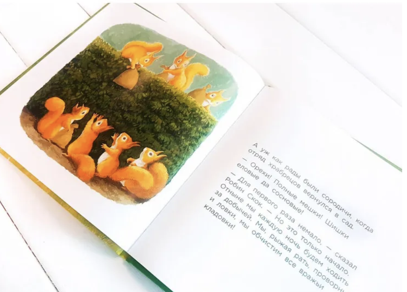 Бельчонок Робин Скок, или Рыжий храбрец. Крингс Антун