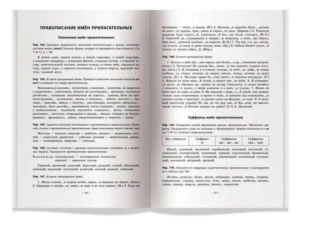 Практикум по русскому языку. Орфография и пунктуация. Пирогова Л. И.