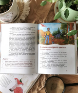 Растения и грибы. Детские энциклопедии с Чевостиком. Елена Качур