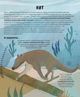 Эволюция Как изменилась жизнь за миллиарды лет. Дуниа Рахван