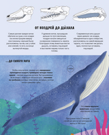 Эволюция Как изменилась жизнь за миллиарды лет. Дуниа Рахван