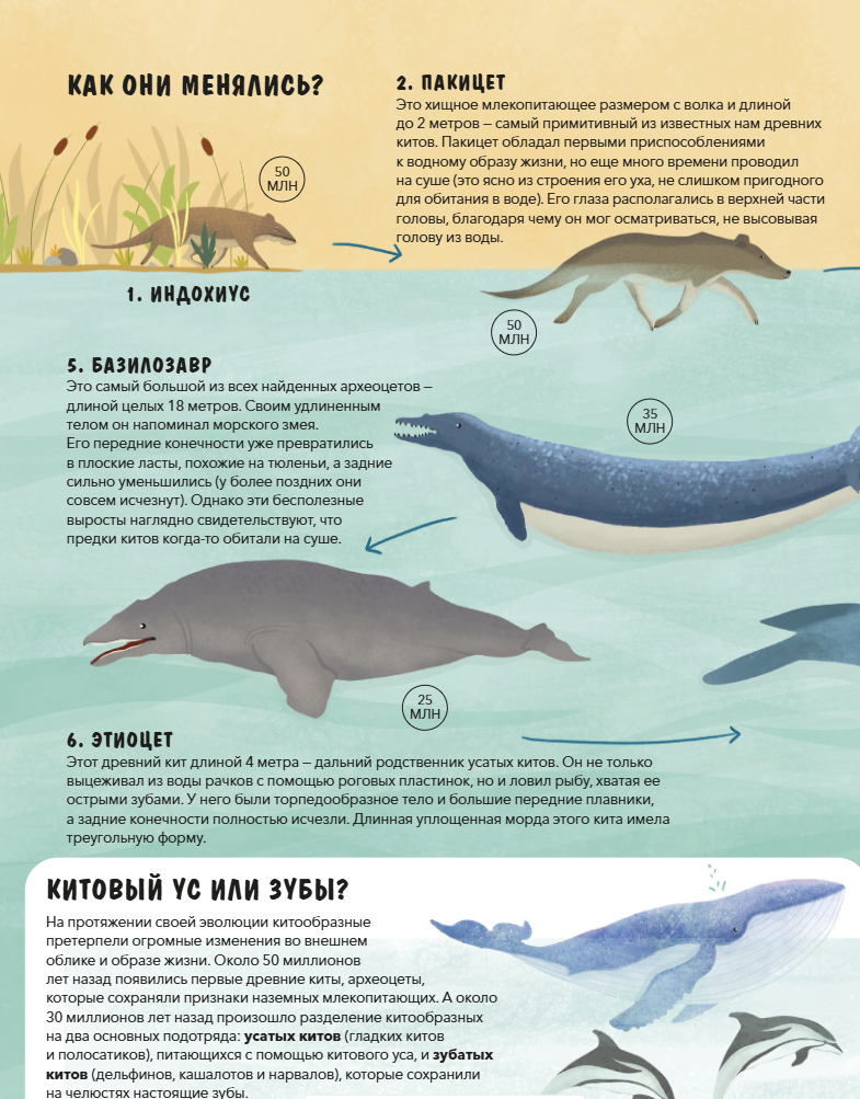 Эволюция Как изменилась жизнь за миллиарды лет. Дуниа Рахван