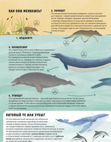 Эволюция Как изменилась жизнь за миллиарды лет. Дуниа Рахван
