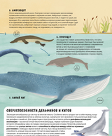 Эволюция Как изменилась жизнь за миллиарды лет. Дуниа Рахван