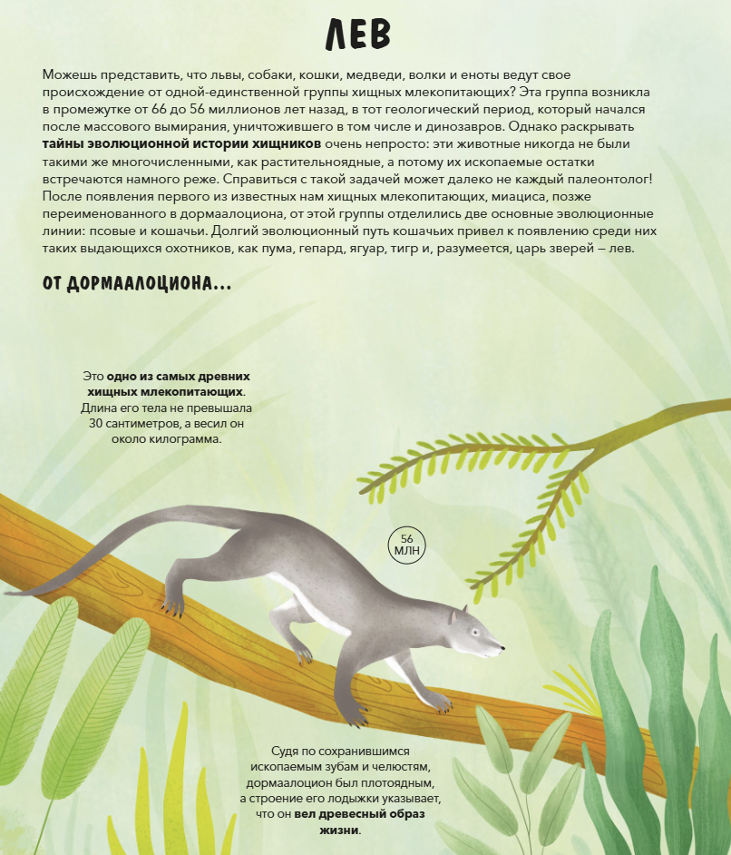 Эволюция Как изменилась жизнь за миллиарды лет. Дуниа Рахван