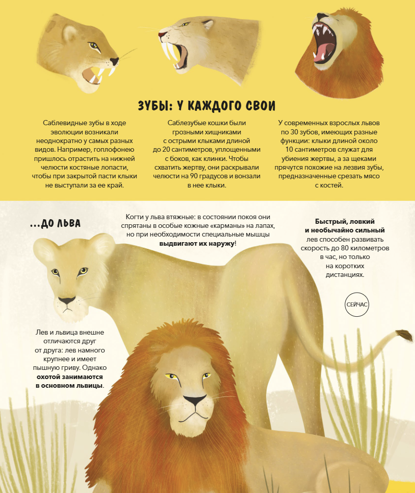 Эволюция Как изменилась жизнь за миллиарды лет. Дуниа Рахван