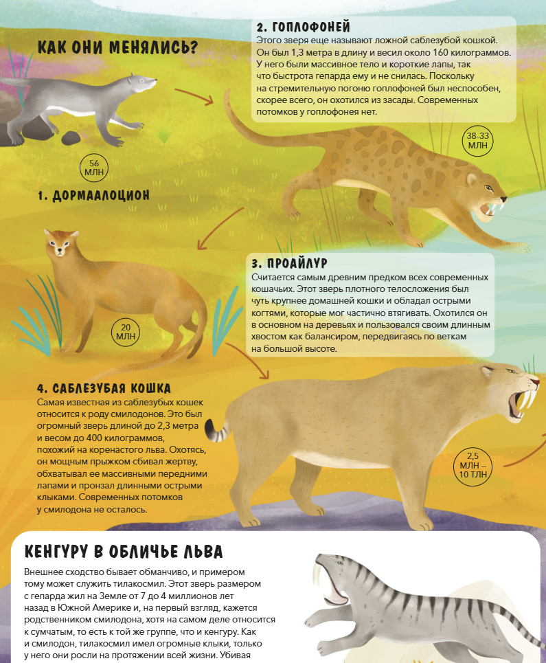 Эволюция Как изменилась жизнь за миллиарды лет. Дуниа Рахван