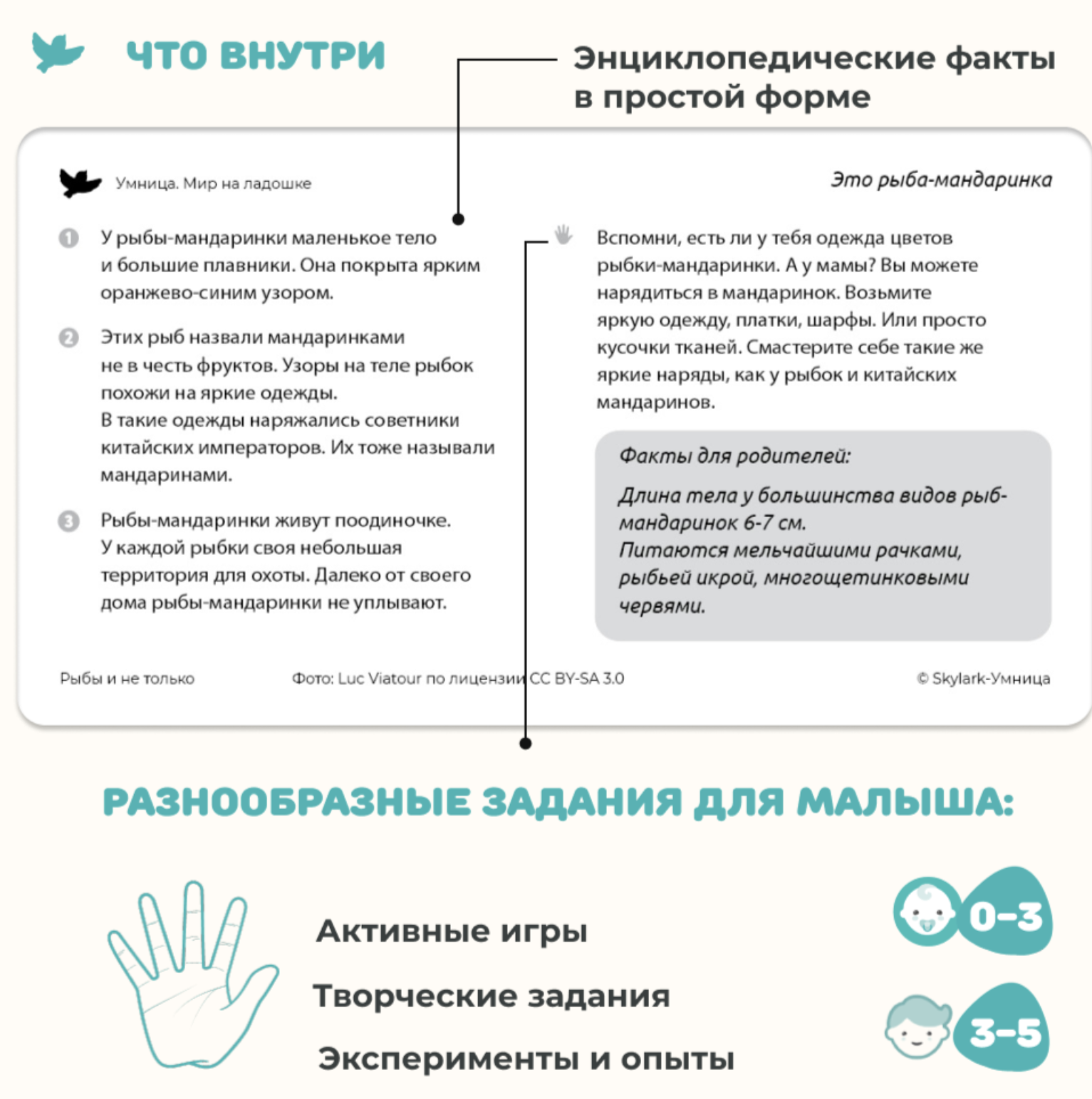 Мир на ладошке. Изобретения и Рыбы и не только. Энциклопедия для детей в фотографиях. Развивающие карточки для малышей