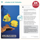 Мир на ладошке. Изобретения и Рыбы и не только. Энциклопедия для детей в фотографиях. Развивающие карточки для малышей