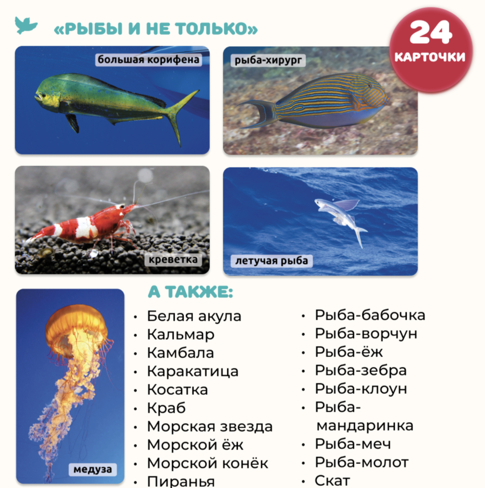 Мир на ладошке. Изобретения и Рыбы и не только. Энциклопедия для детей в фотографиях. Развивающие карточки для малышей