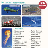 Мир на ладошке. Изобретения и Рыбы и не только. Энциклопедия для детей в фотографиях. Развивающие карточки для малышей