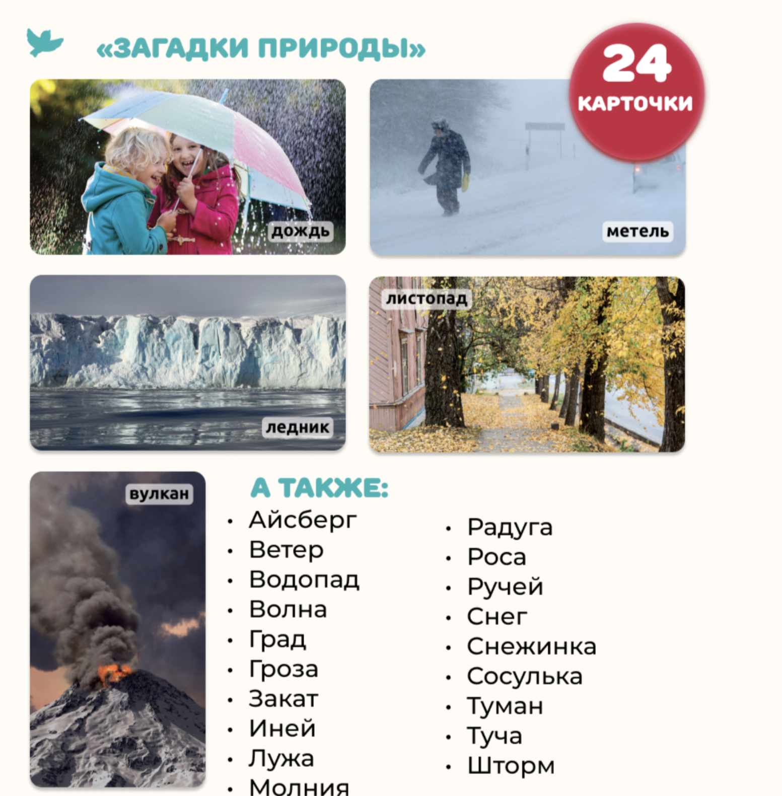 Мир на ладошке. Загадки природы и Спецтехника. Энциклопедия для детей в фотографиях. Развивающие карточки для малышей