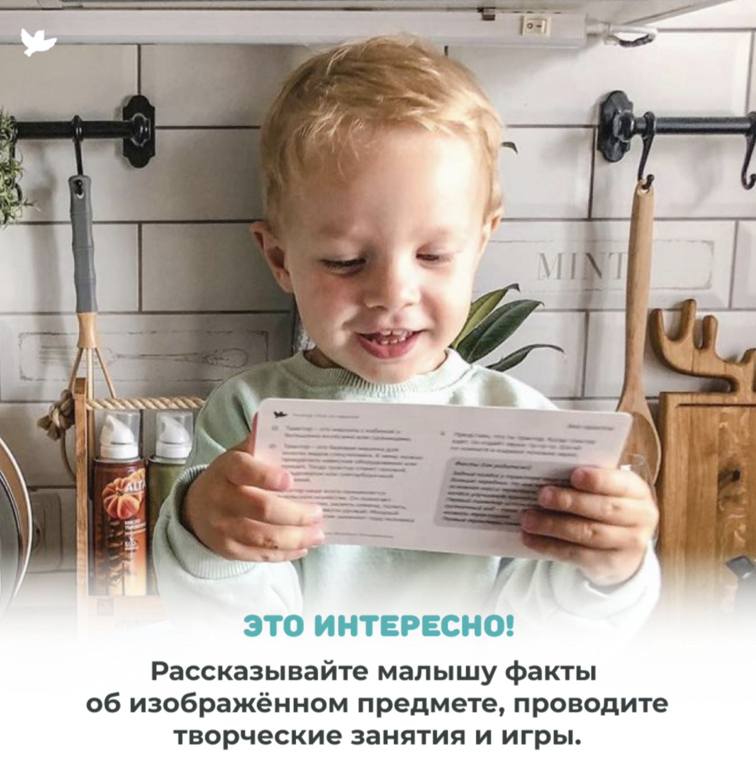 Мир на ладошке. Загадки природы и Спецтехника. Энциклопедия для детей в фотографиях. Развивающие карточки для малышей