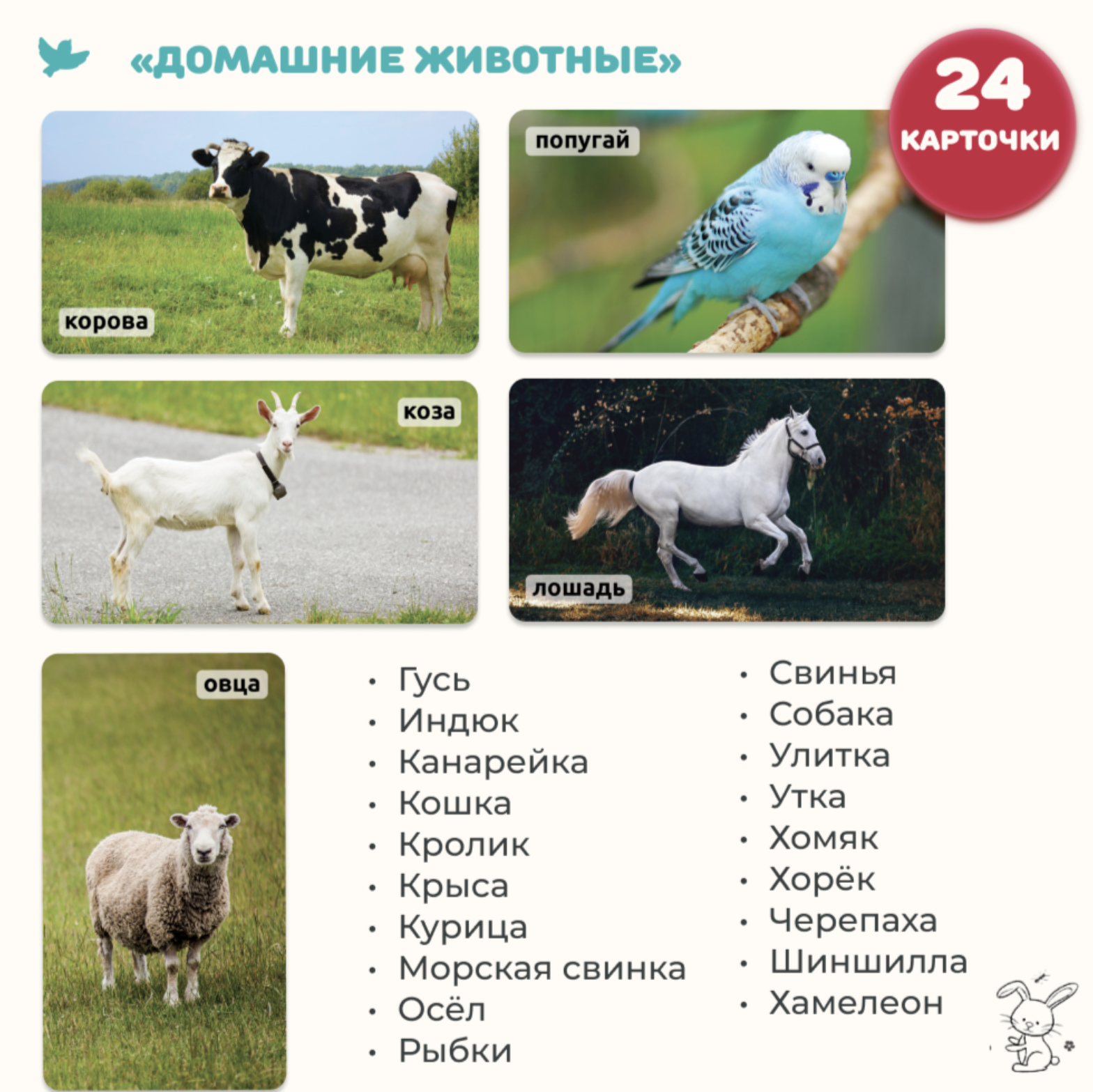 Мир на ладошке. Домашние животные и Музыкальные инструменты. Энциклопедия для детей в фотографиях. Развивающие карточки для малышей