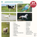 Мир на ладошке. Домашние животные и Музыкальные инструменты. Энциклопедия для детей в фотографиях. Развивающие карточки для малышей