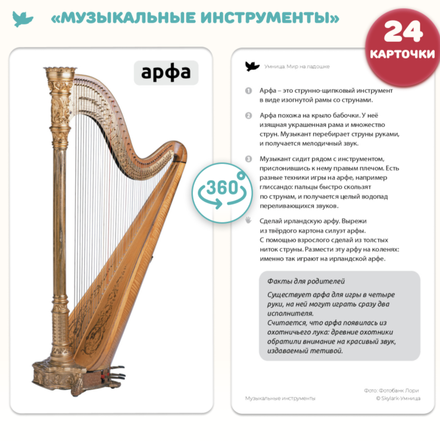 Мир на ладошке. Домашние животные и Музыкальные инструменты. Энциклопедия для детей в фотографиях. Развивающие карточки для малышей