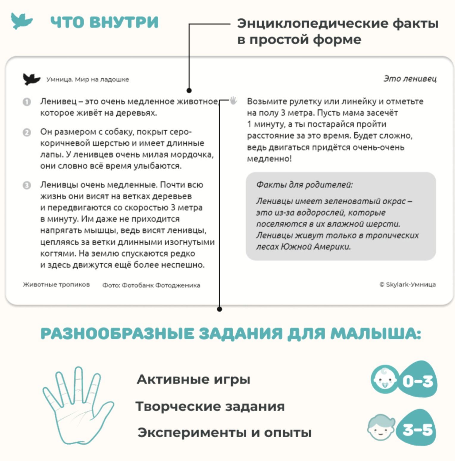 Мир на ладошке. Животные тропиков и Рекорды природы. Энциклопедия для детей в фотографиях. Развивающие карточки для малышей
