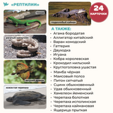 Мир на ладошке. Рептилии. Энциклопедия для детей в фотографиях. Развивающие карточки для малышей