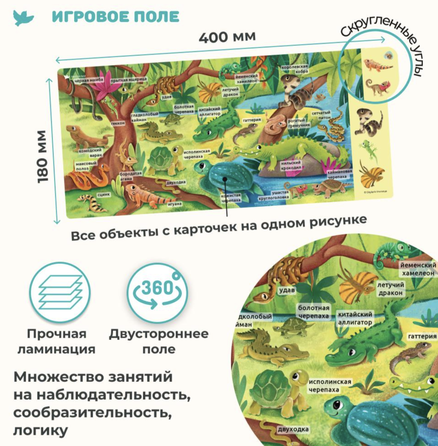 Мир на ладошке. Рептилии. Энциклопедия для детей в фотографиях. Развивающие карточки для малышей