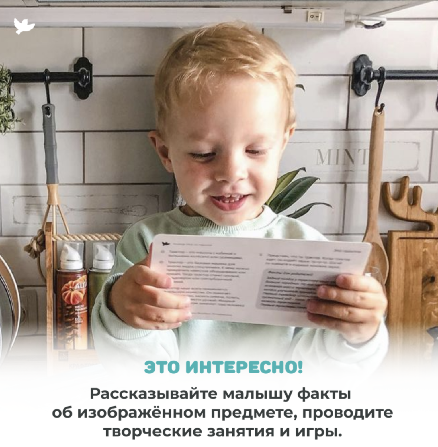 Мир на ладошке. Рептилии. Энциклопедия для детей в фотографиях. Развивающие карточки для малышей