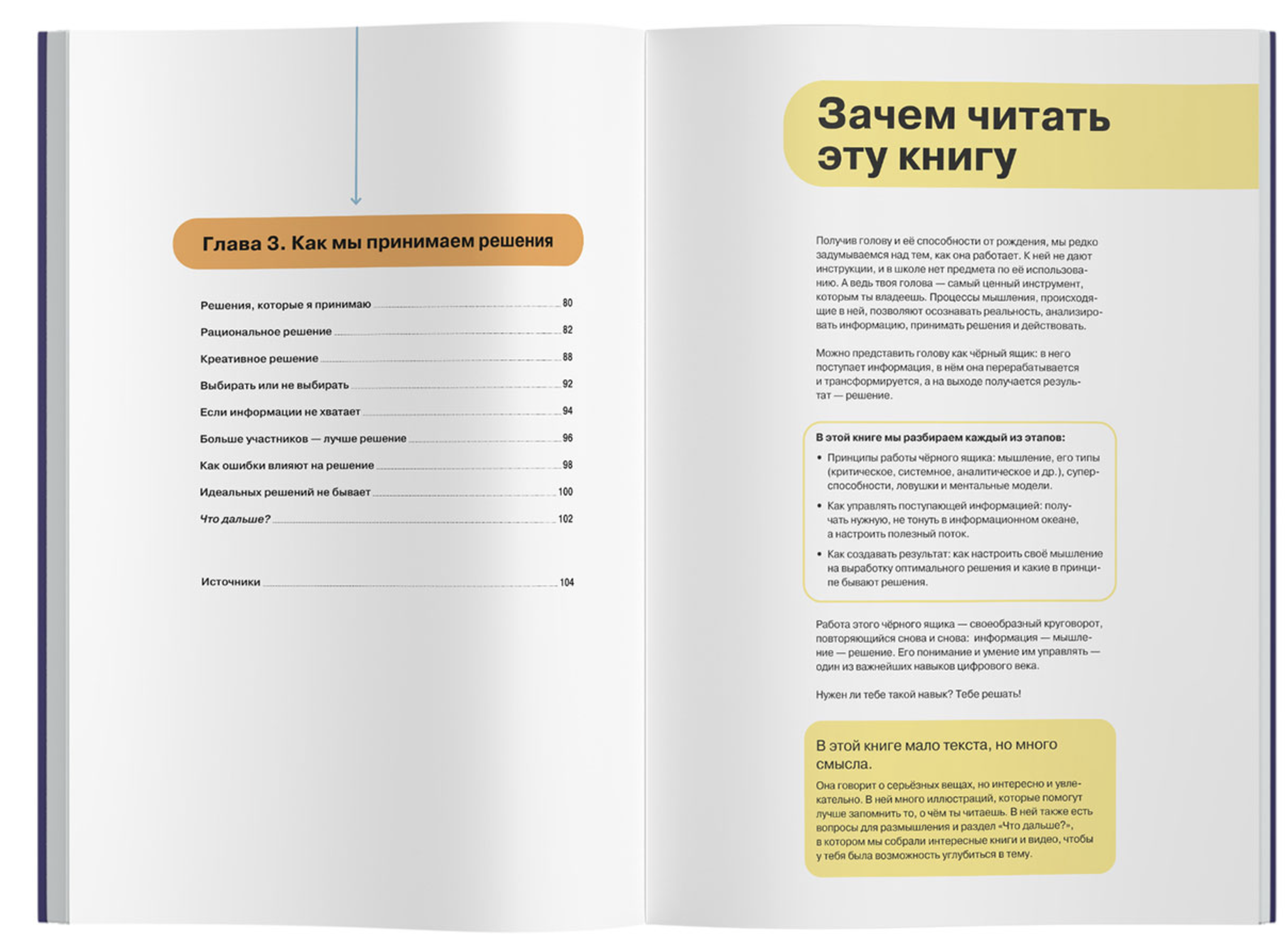 Как думать и выбирать. Визуальная инструкция для головы