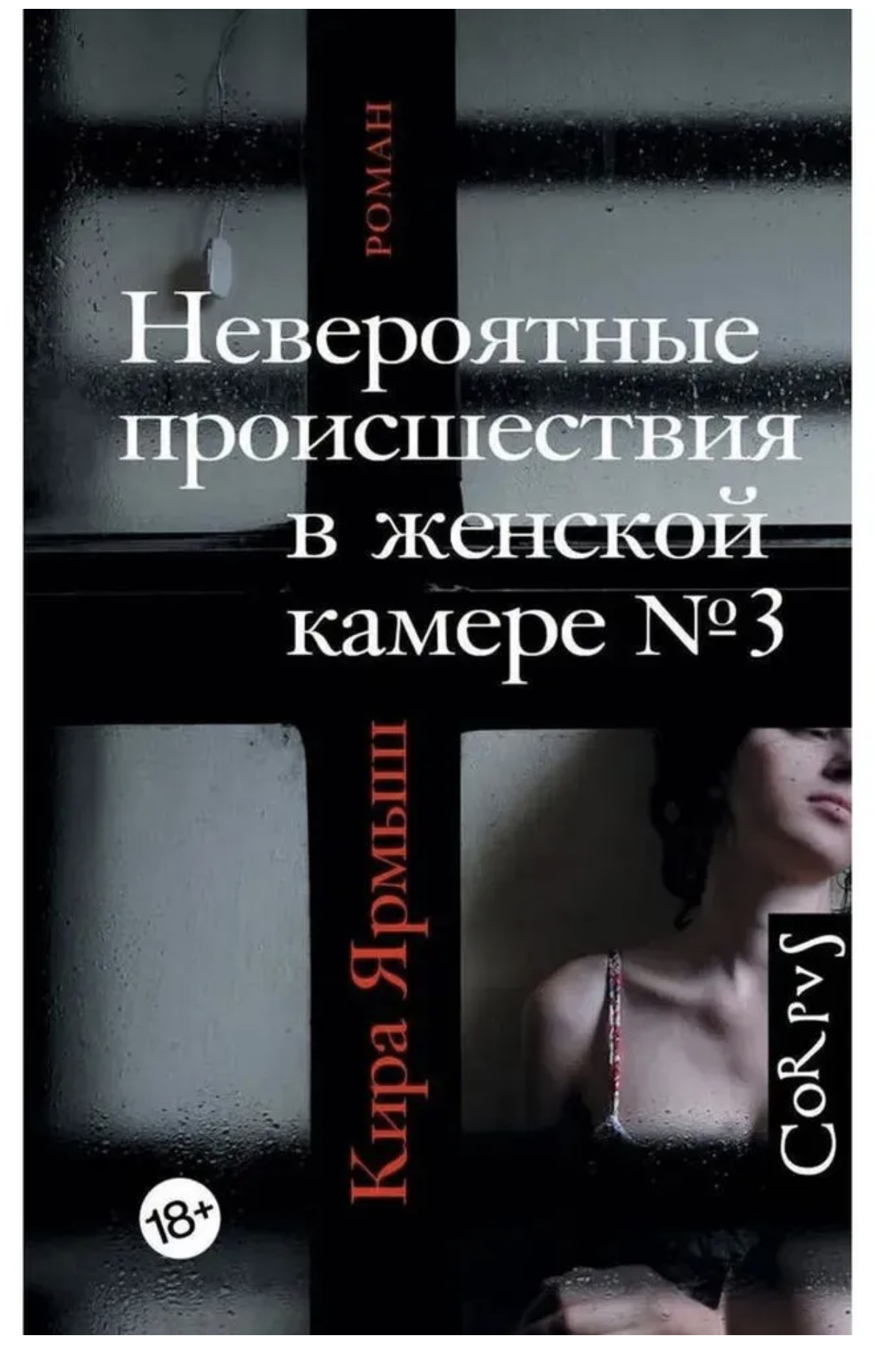 Невероятные происшествия в женской камере № 3. Ярмыш Кира Александровна