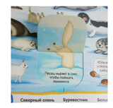 Виммельбух с окошками. Животные