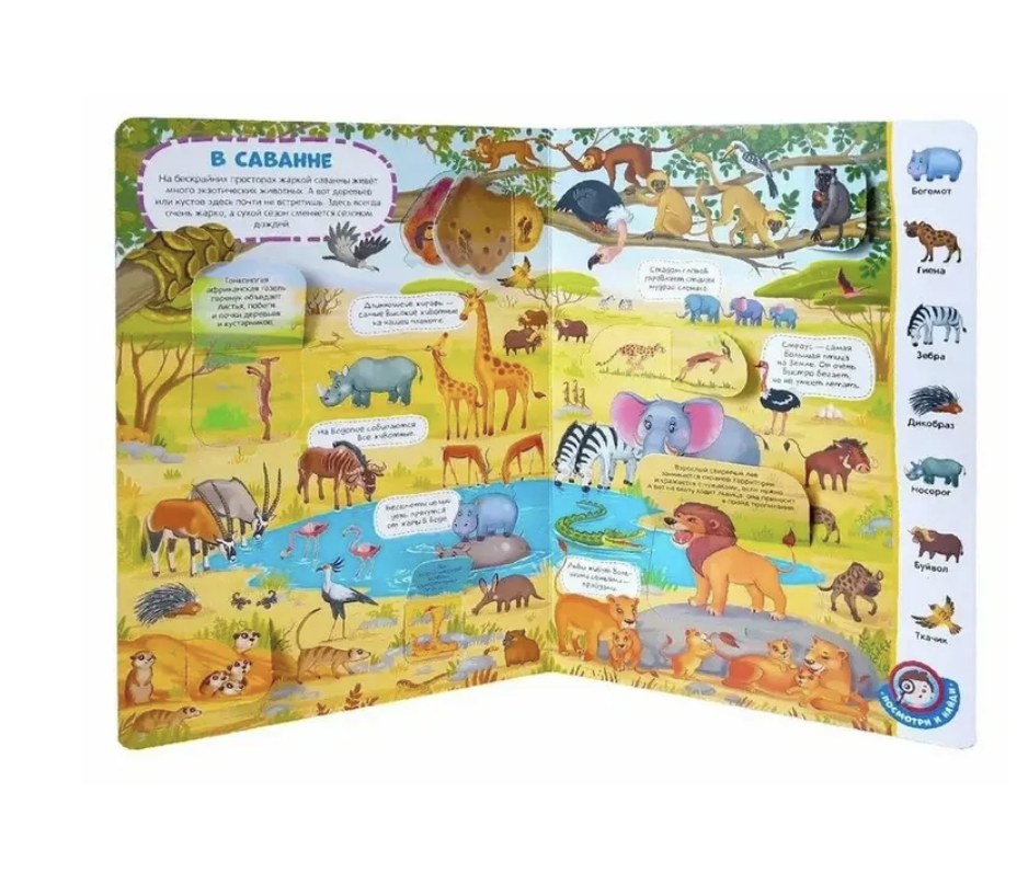 Виммельбух с окошками. Животные