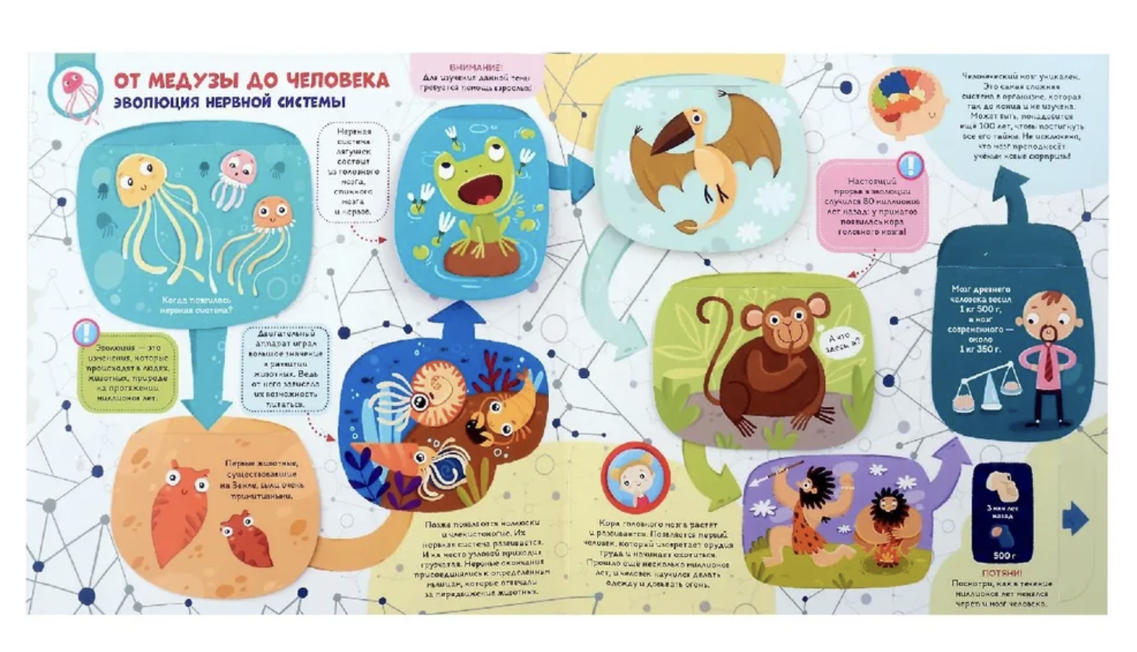 Мозг. Компьютер в моей голове. интерактивная энциклопедия с панорамными иллюстрациями. Книжка-панорамка