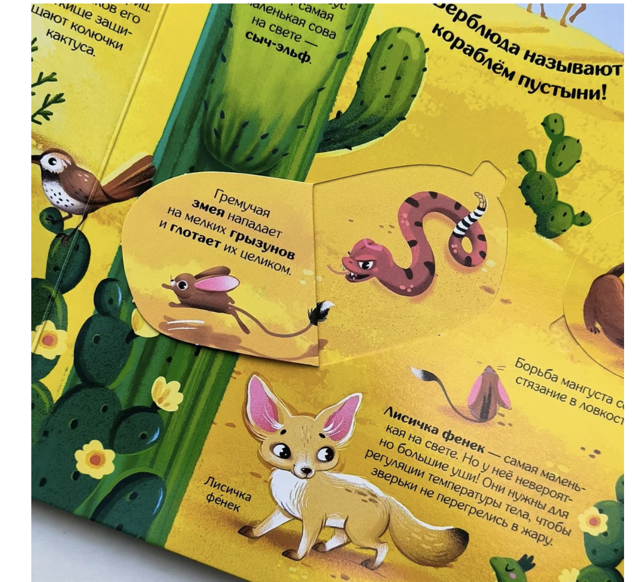 Мир животных. Книжка с окошками. Книжка-панорамка