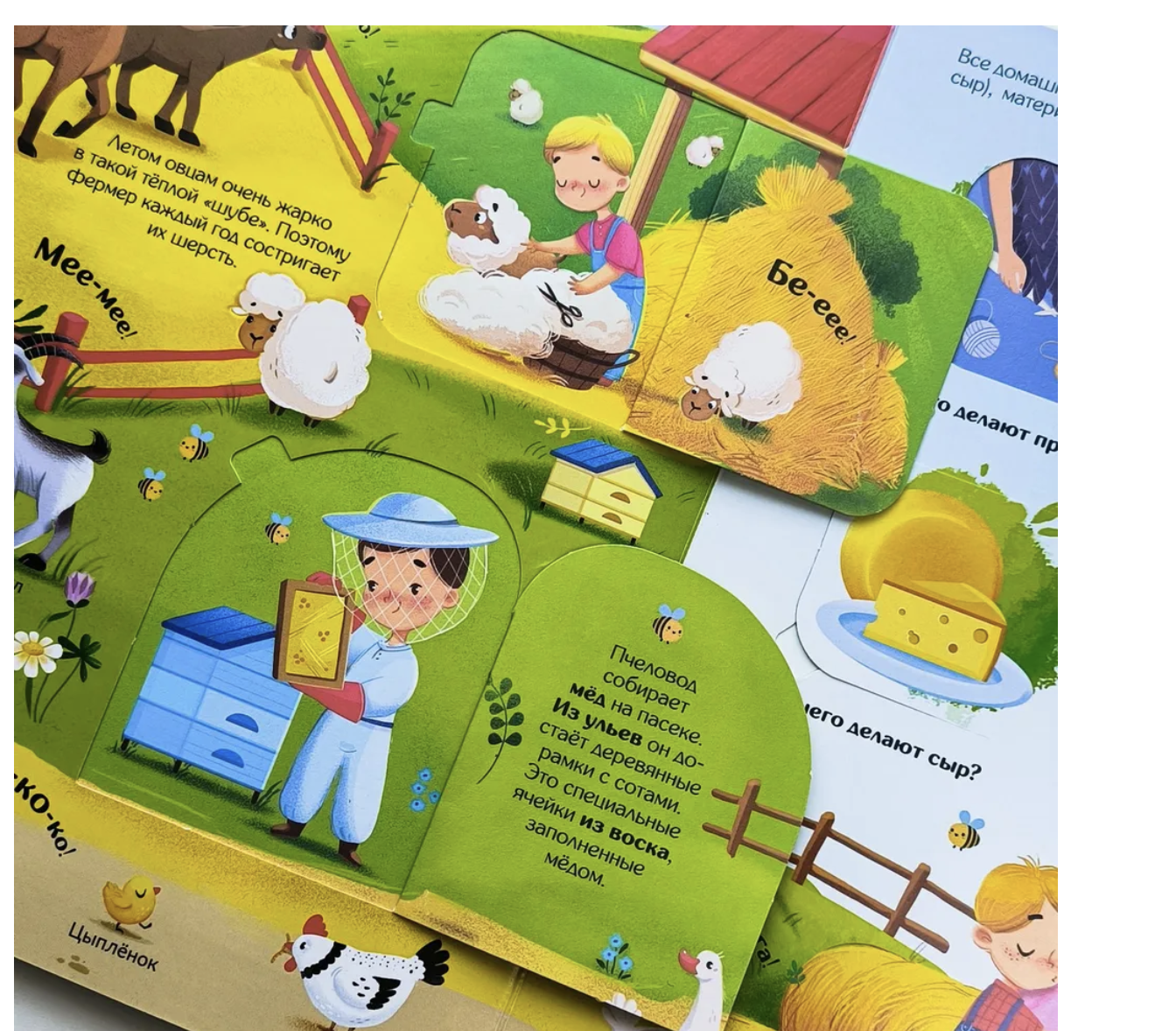 Мир животных. Книжка с окошками. Книжка-панорамка