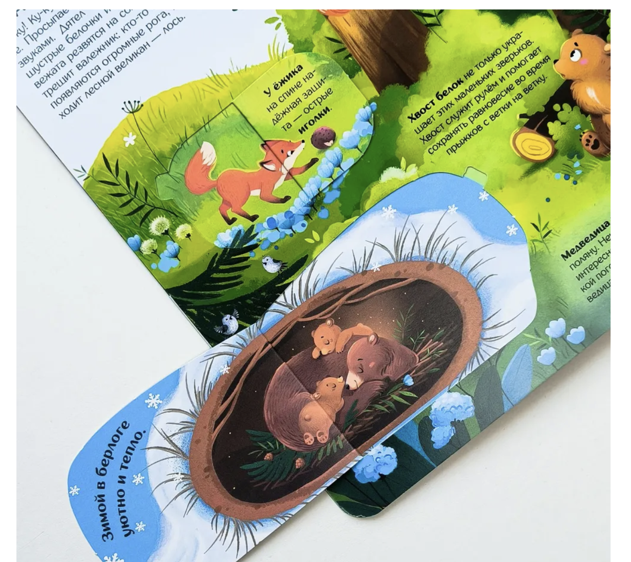 Мир животных. Книжка с окошками. Книжка-панорамка