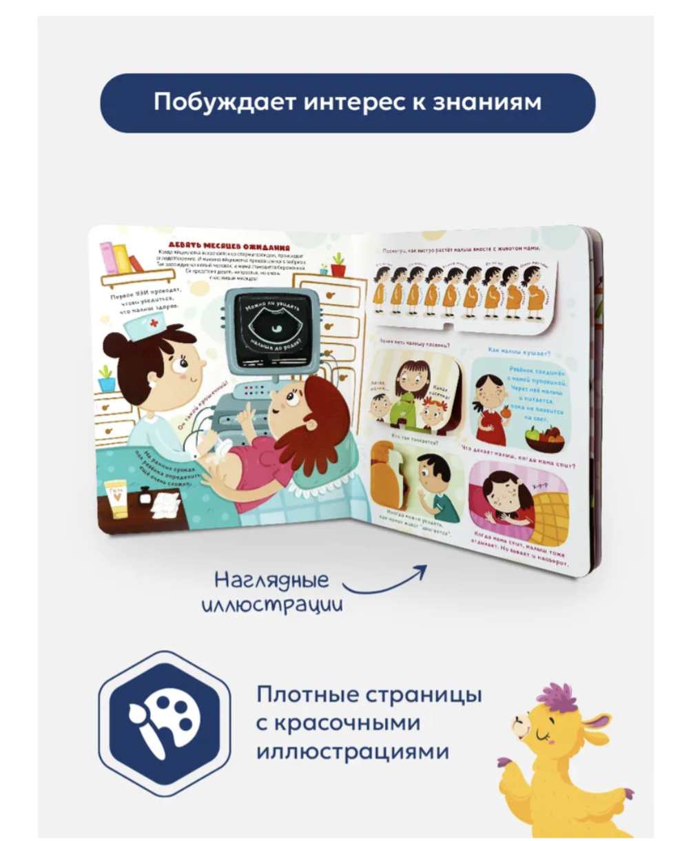 Откуда берутся дети? Книжка с окошками