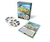 Дубль. Транспорт. Настольная игра