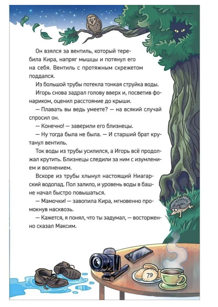 Охотники за мифами. Шкатулка из замка теней. 1. Гаглоев Евгений Фронтикович