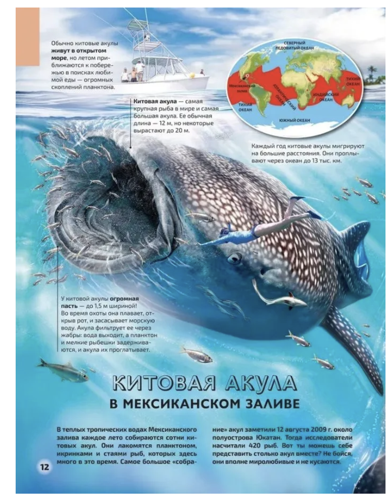 Моря и океаны. Иллюстрированный атлас