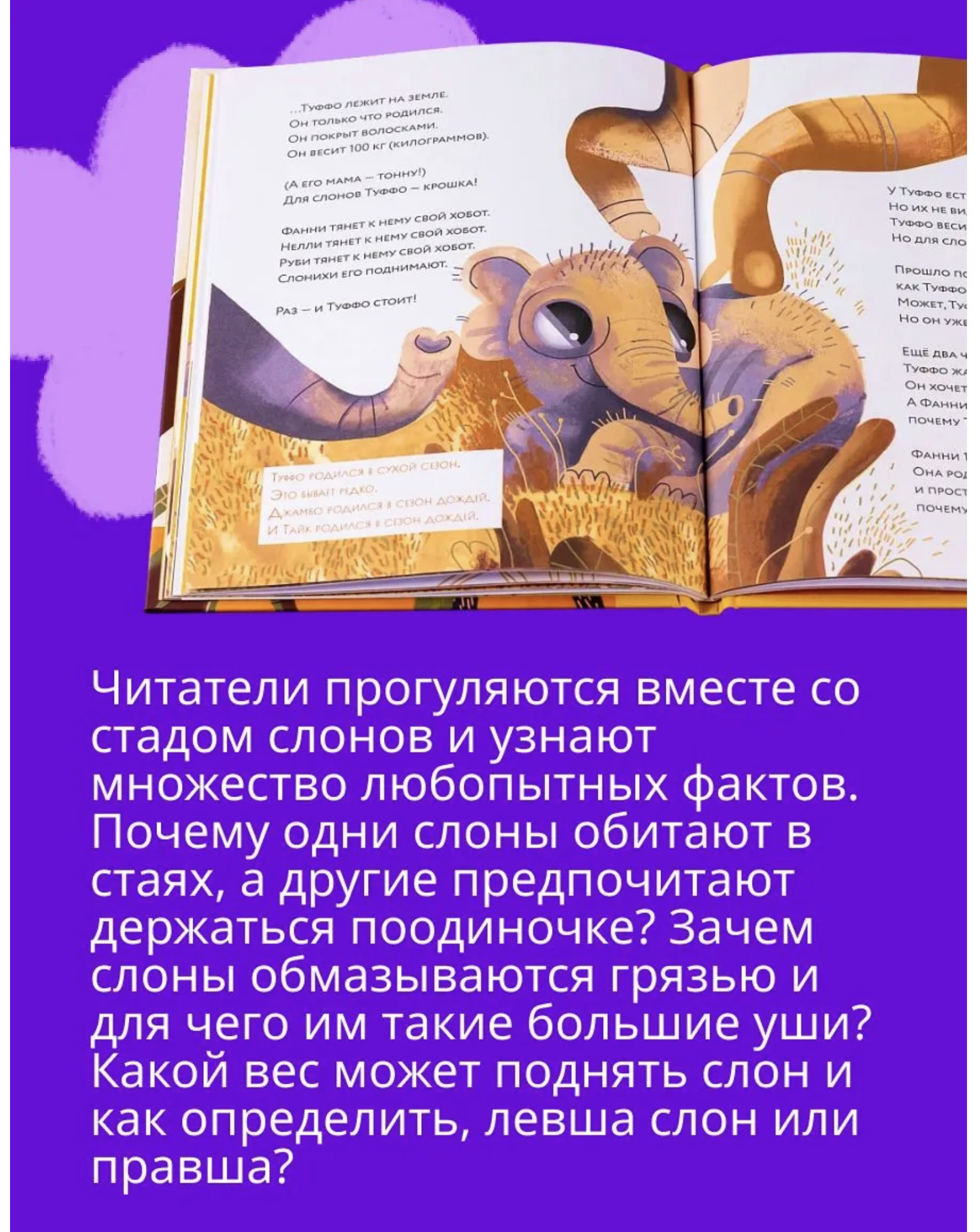 Влюбляем в книгу. Слоны идут! Книжный старт. Аромштам М. С.