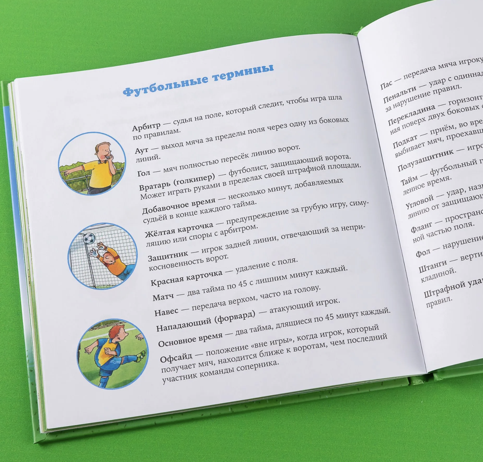 Знакомство с профессиями. Футбольный тренер. Бучков Ральф